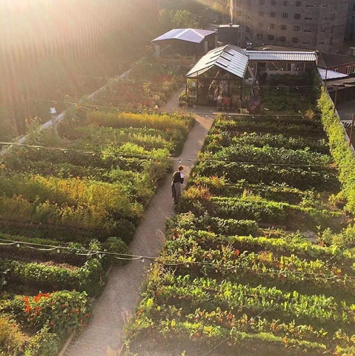 未来的路都是花路 v2-33962ff895a574cd1ee5eb91f643ddc4_r.jpg