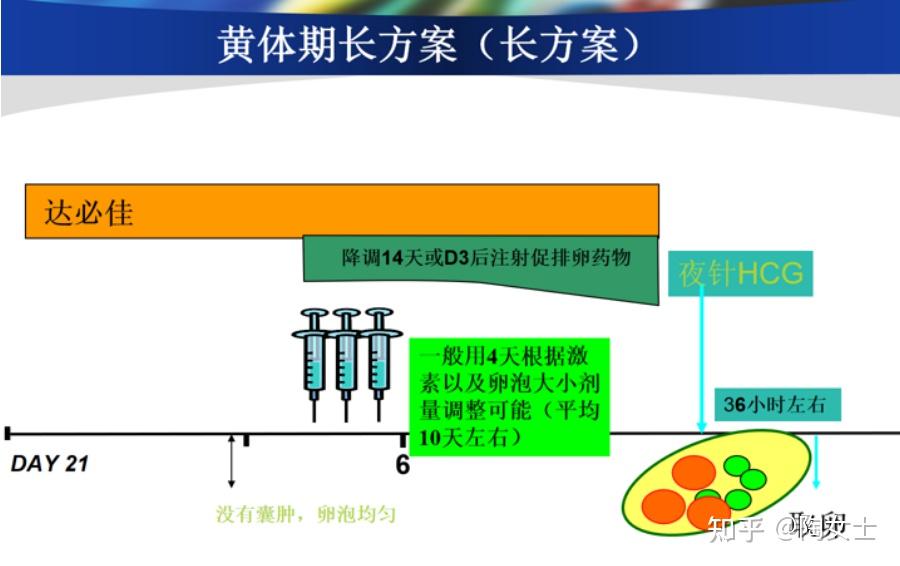 常用促排方案,看你适合用哪个? - 知乎