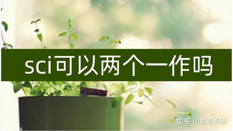 全面的用户指南