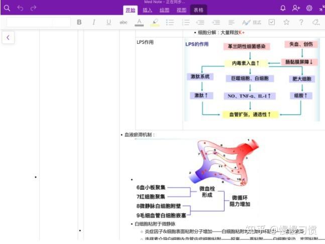OneNote：3个技巧，做出整齐美观的笔记 - 知乎