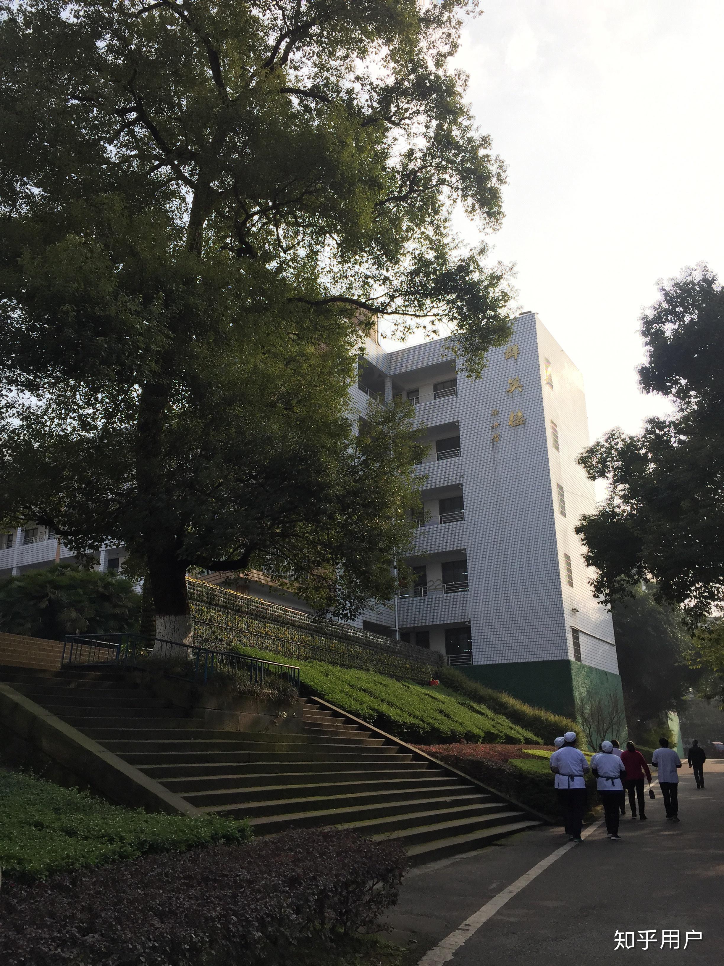 泸县二中就读是一种什么样的体验