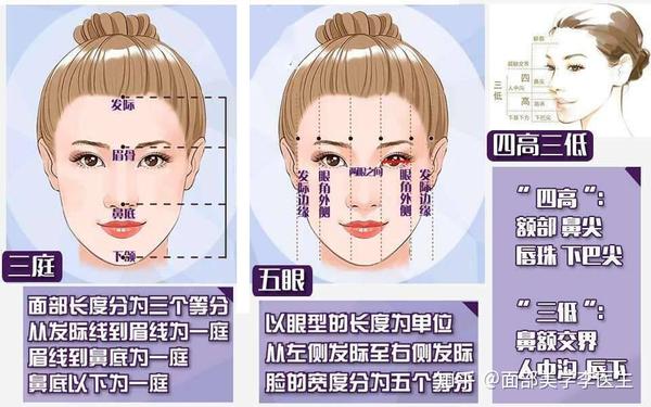 美圈流传的“三庭五眼”究竟是指哪些? - 知乎