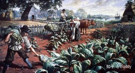 中国可能在经历一波文艺复兴221