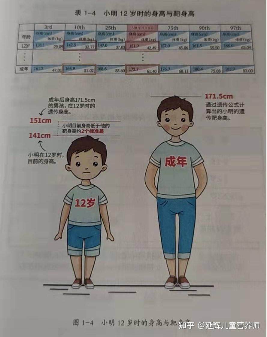 【育儿】怎么让孩子长高？现在知道还不晚！ - 知乎