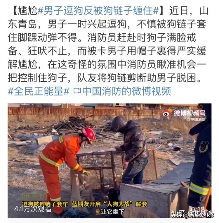 男子逗狗不慎被狗链子套住视频略显尴尬 - 知乎