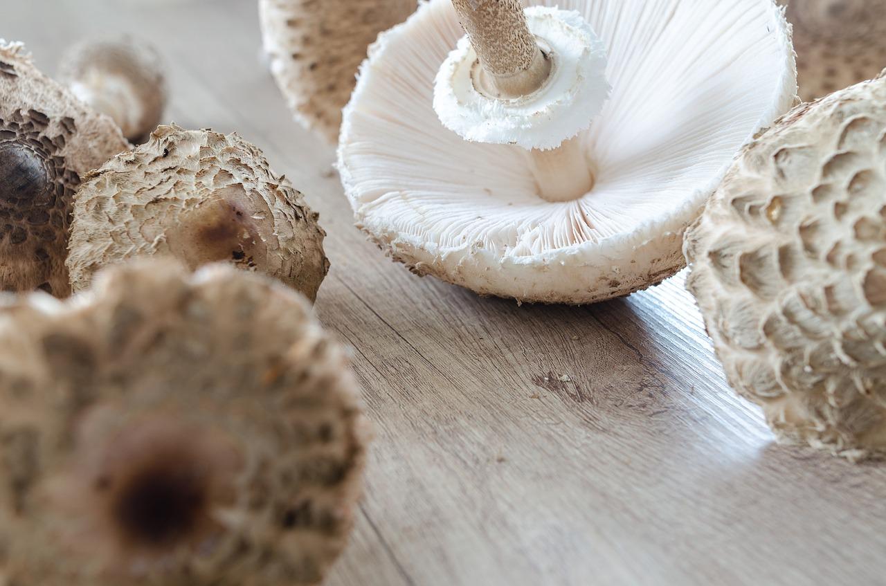 3. 梧桐新房价格