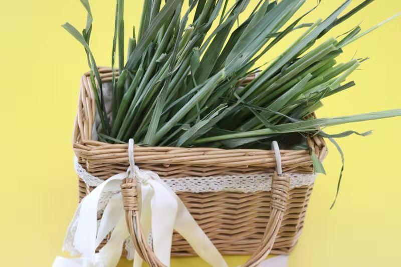 燕麦草中的碳水化合物 知乎