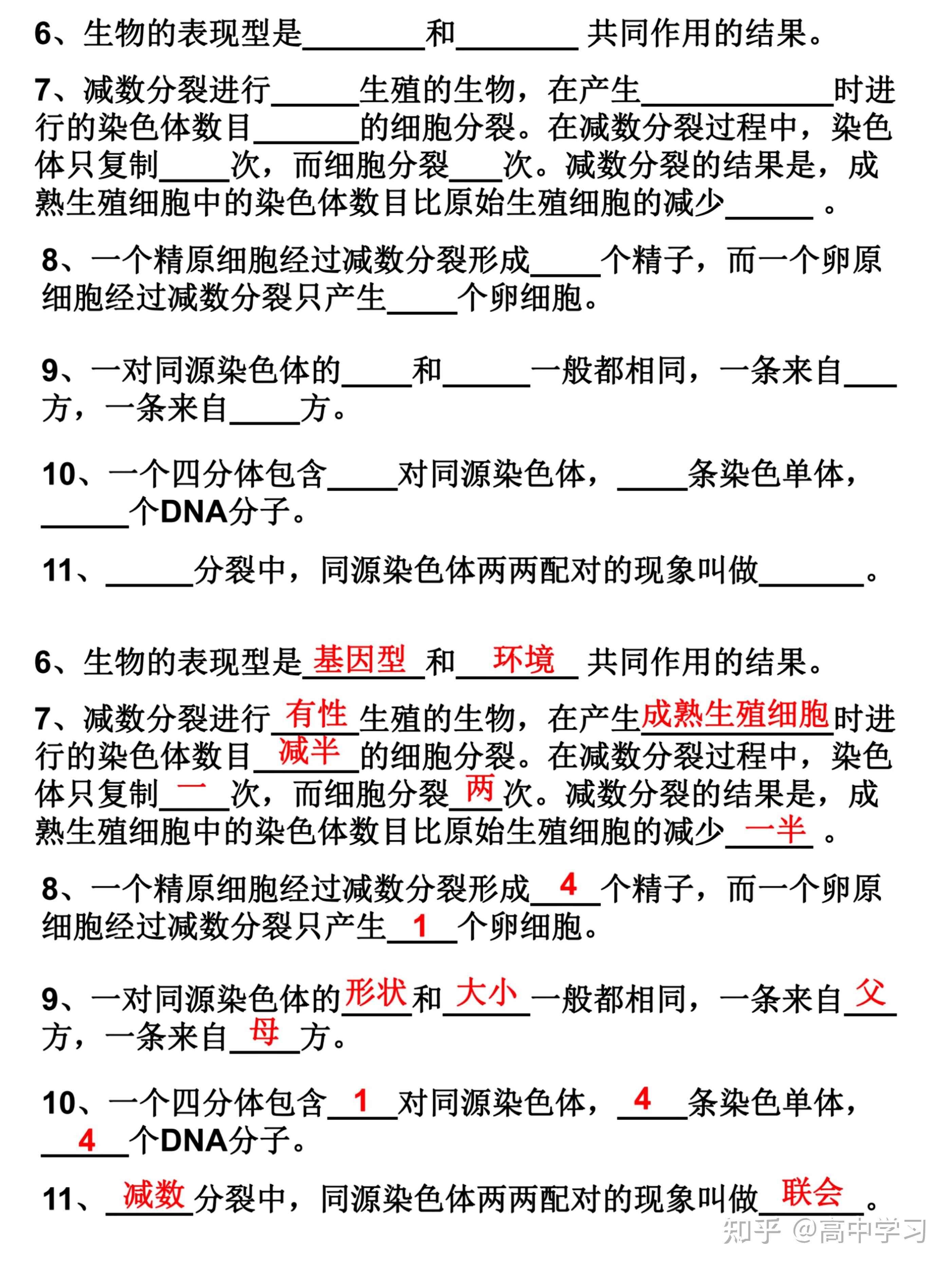 都說高中生物遺傳難其實學透這些重點輕鬆攻克拿下80