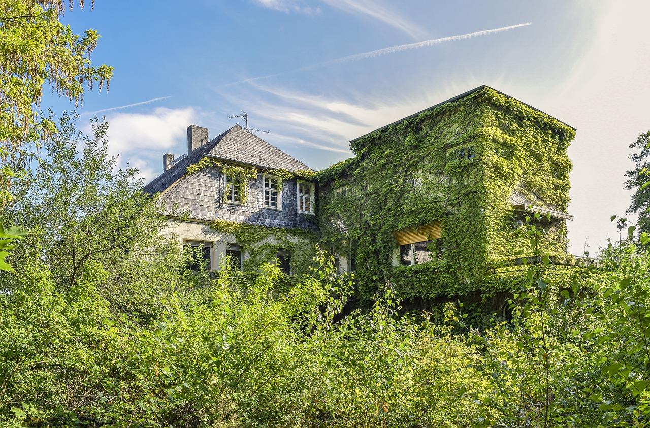 湖畔别墅投资回报