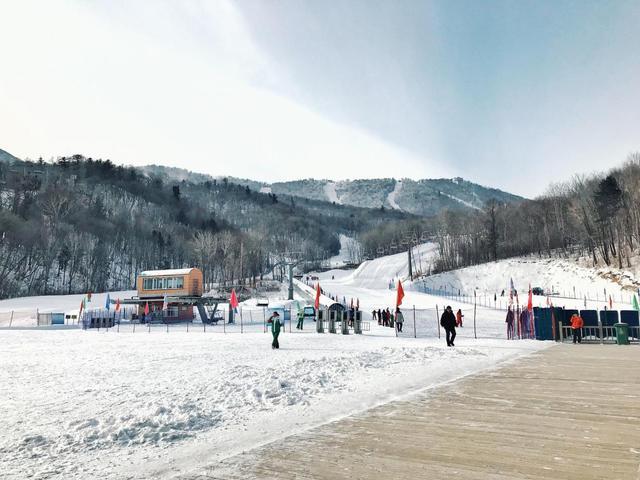 哈爾濱旅遊有哪些攻略?-哈尔滨旅游攻略路线最佳路线