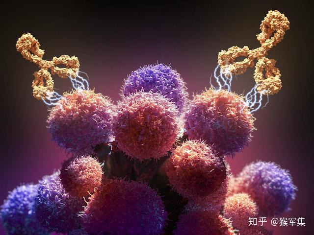 英中新词汇对比：英文膨胀无止境，中文不变应万变 - 知乎