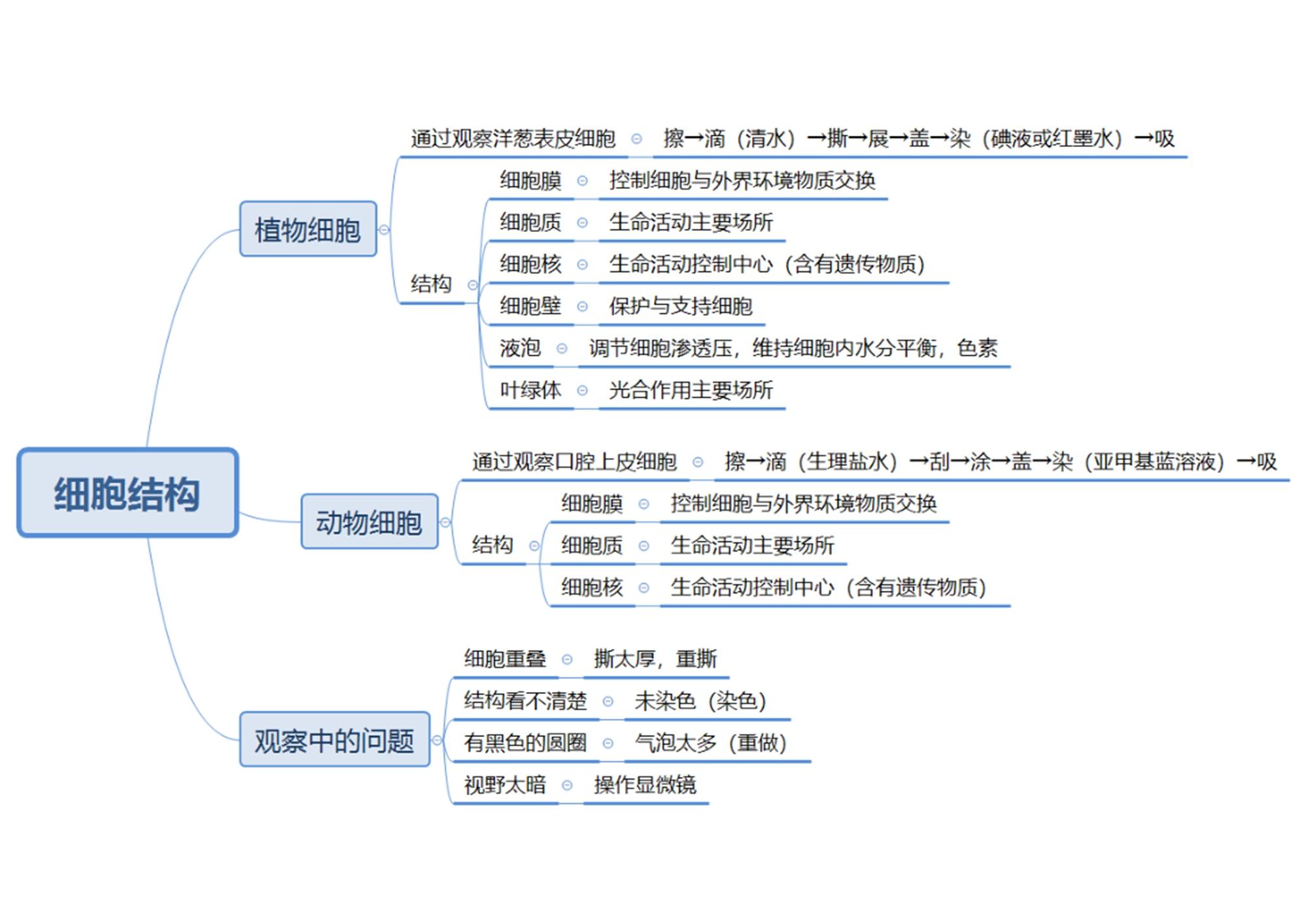 初中生物章節思維導圖26張完整版通儒公考圈精製免費共享