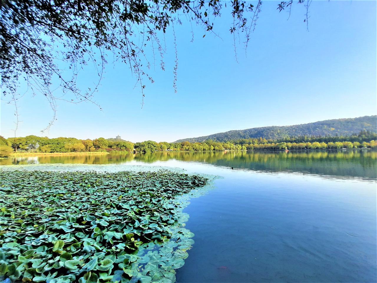 2. 精品户型解析