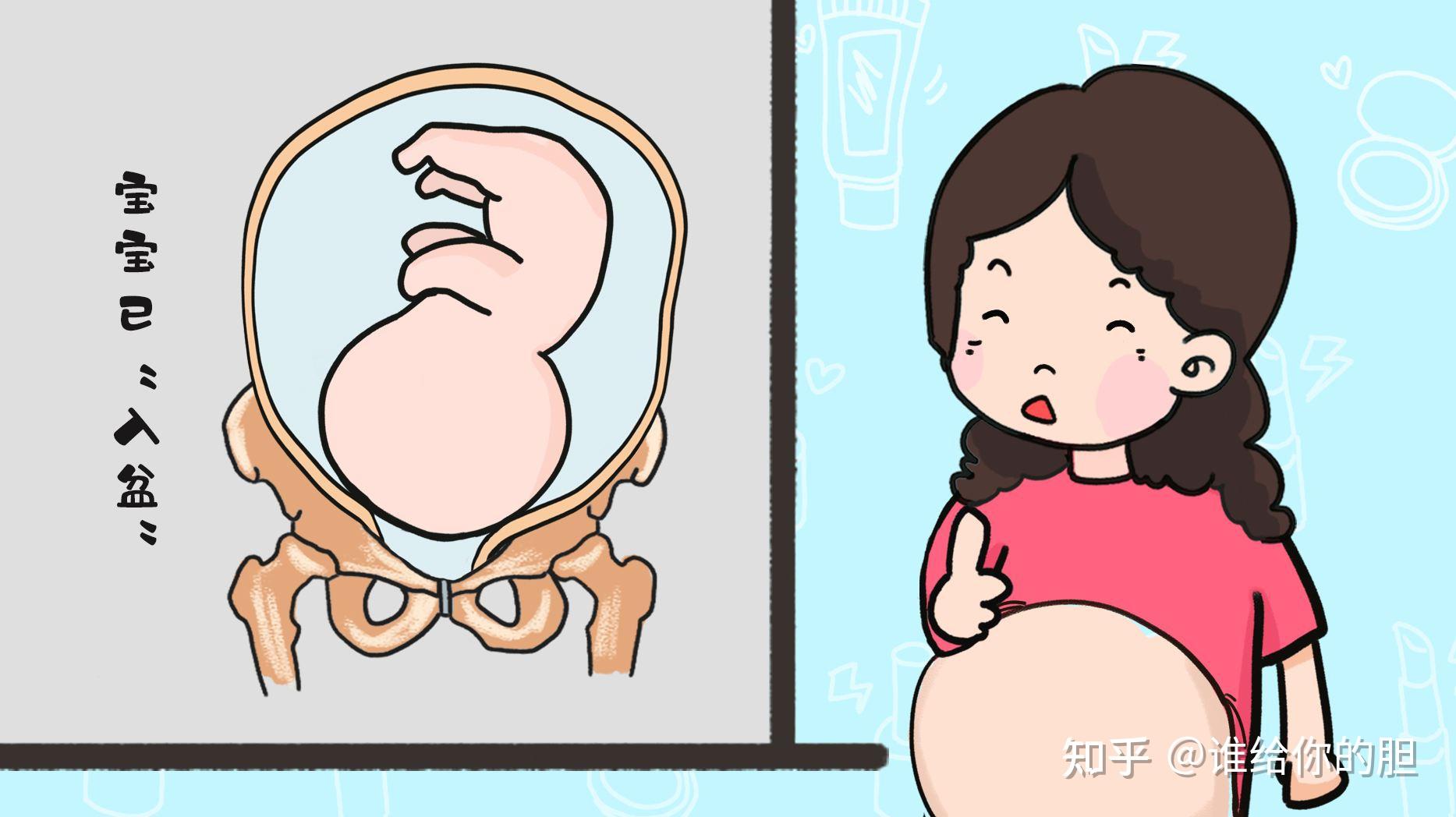 胎儿入盆的这些症状,是宝宝悄悄告诉你,Ta准备要出来啦! - 知乎