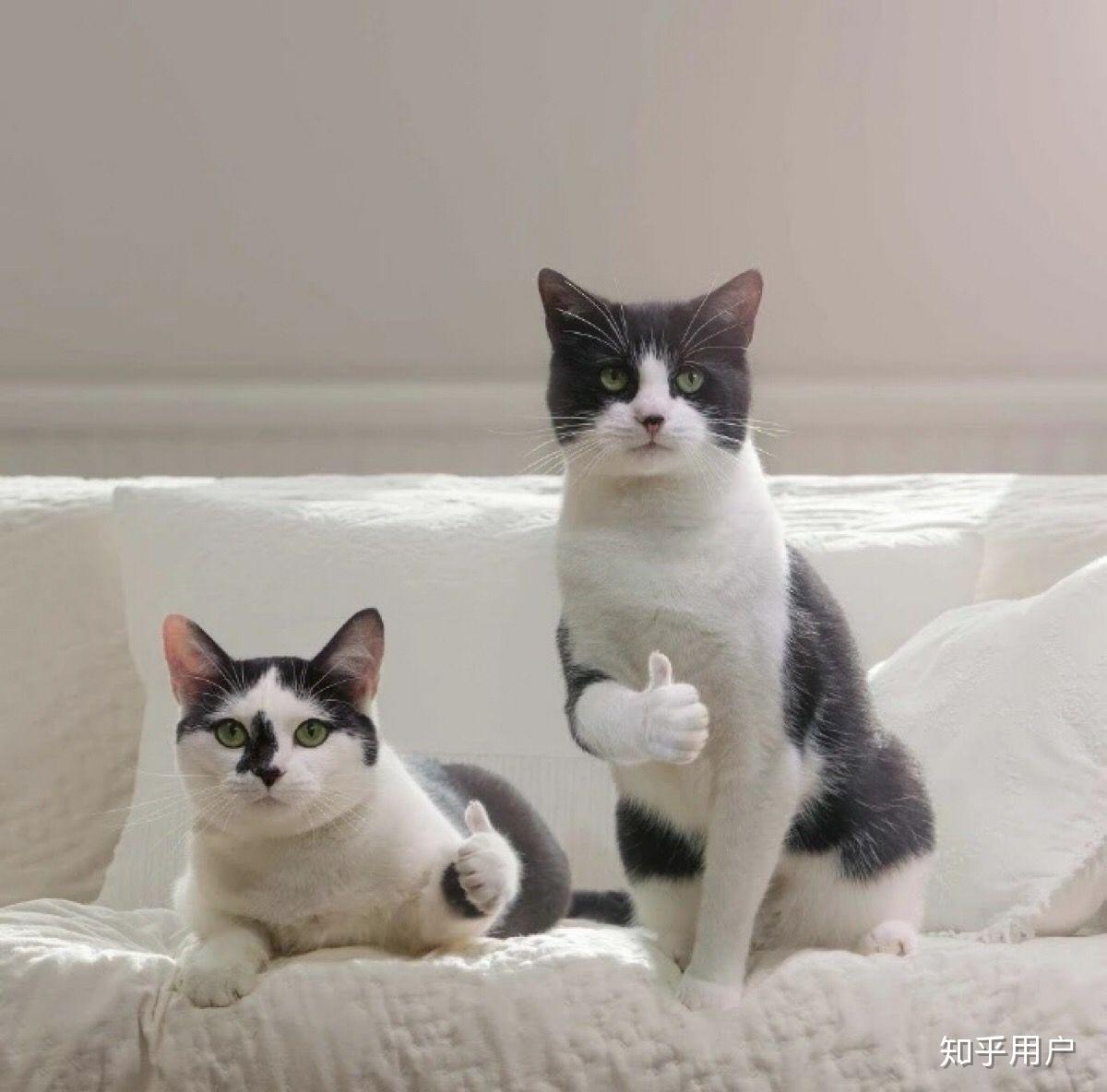 面基(网友见面)是一种怎样的体验?