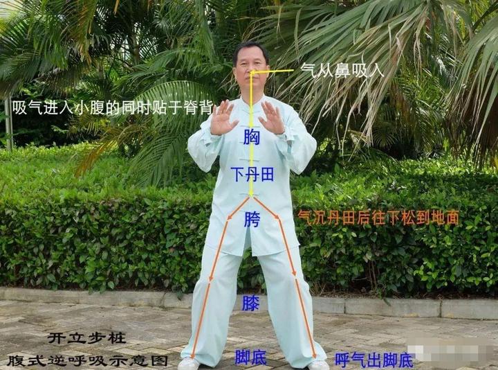 站桩的最佳时间表站桩多长时间最好 - 知乎