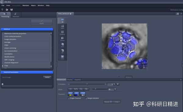 使用imaris对激光共聚焦照片进行体积测量及共定位分析 知乎