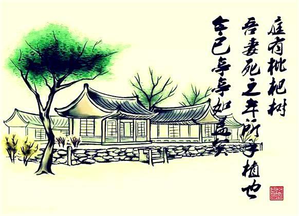 再见了我那遥远的项脊轩改编自项脊轩志