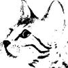 顽皮猫