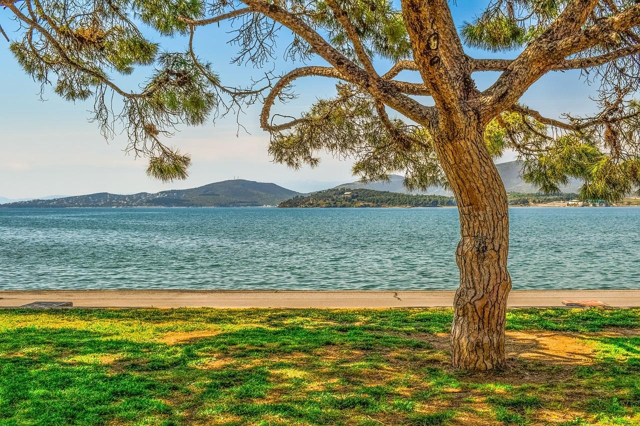 4. 青湖公园房价