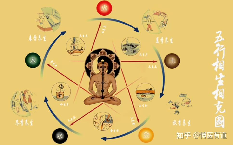 中医视角下的春季养生:疏肝理气,顺应春生之气 - 知乎