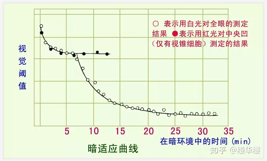视觉的基本现象到底有哪些? - 知乎