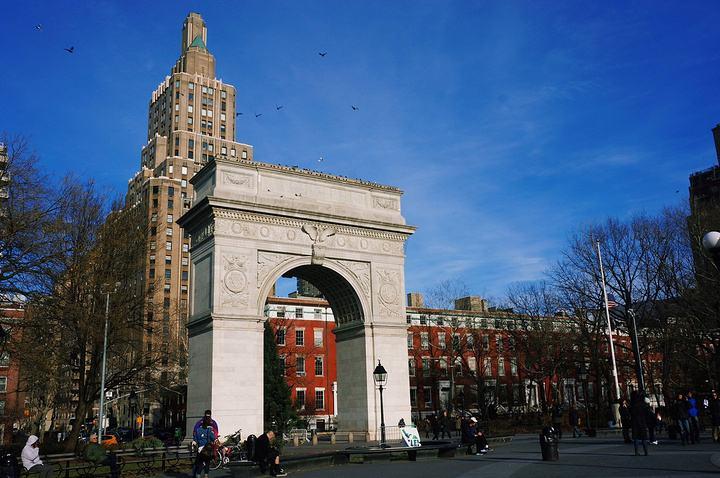 纽约大学有哪些世界知名的学科专业