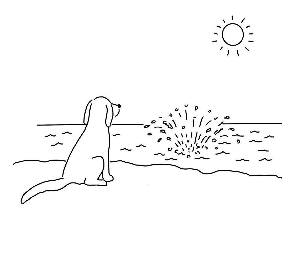 有哪些可爱的狗狗头像