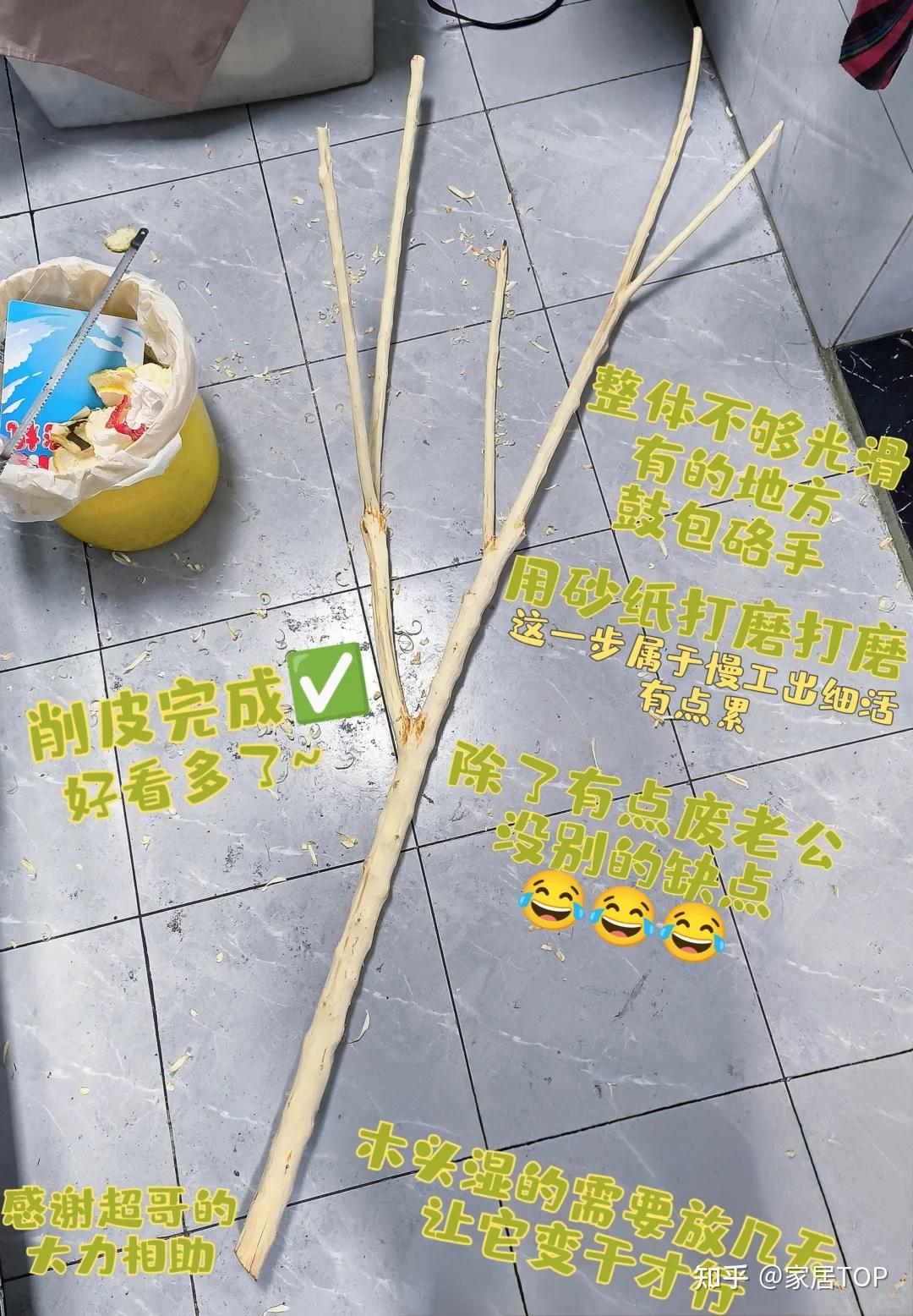 下班路上捡的“树枝”拿回家,换个思路用,竟然变成了生活神器 - 知乎