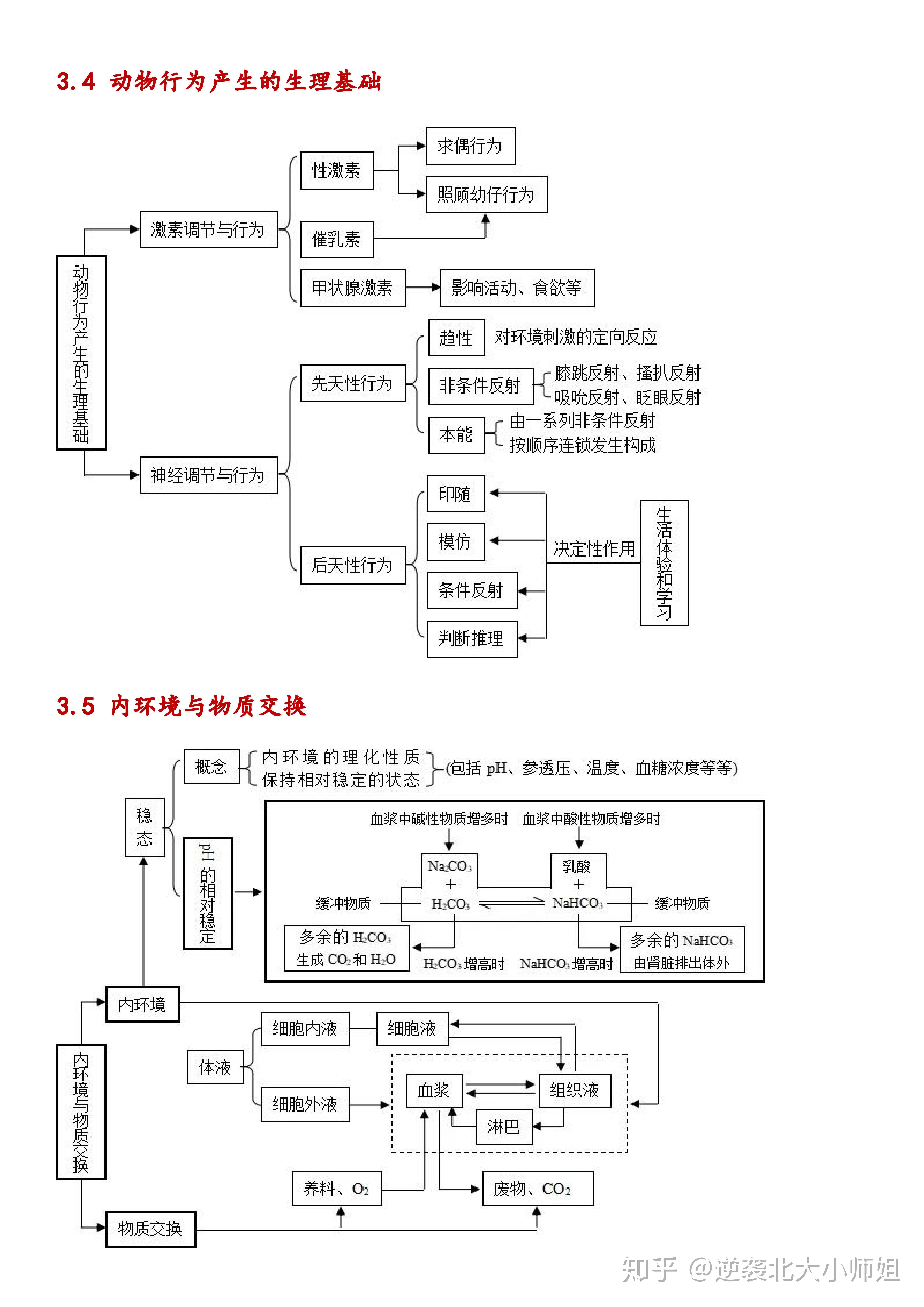 高考衝刺高中生物最全生命活動調節知識結構圖詳細思維導圖逆襲提分不