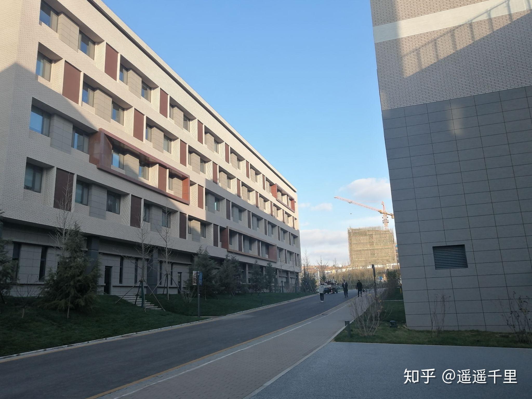 青岛科技大学中德图片