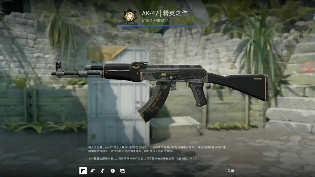 CS2平价武器皮肤分享（步枪篇） - 知乎