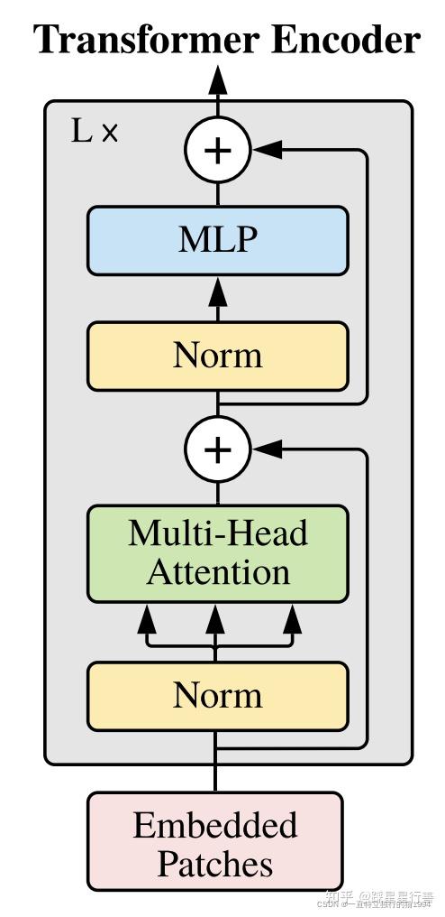 Vision Transformer (ViT) 代码实现PyTorch版本 - 知乎