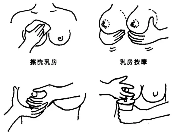 正确的挤奶手法图片