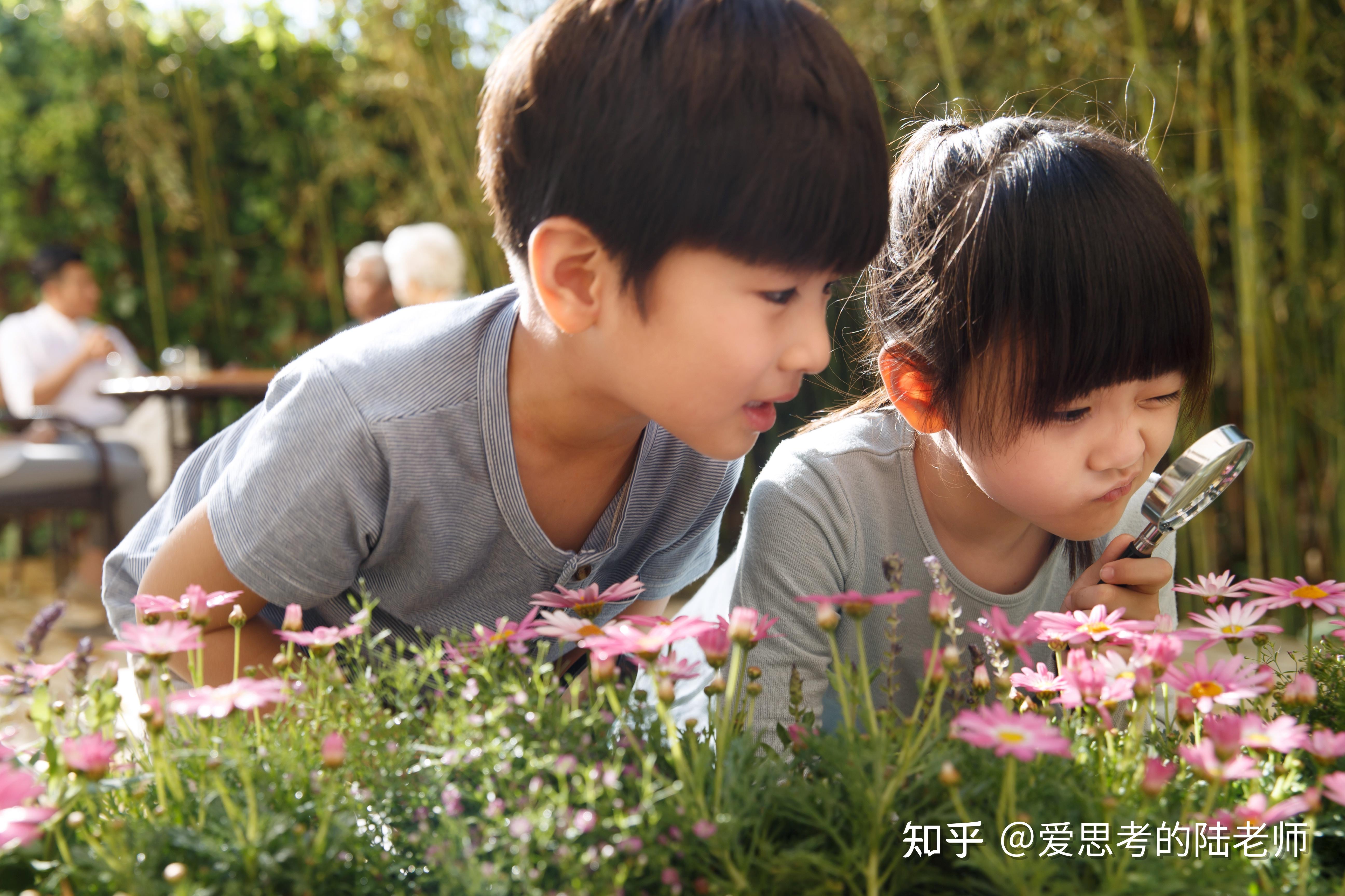 结合学前儿童心理发展实际情况,谈谈如何通过培养兴趣来达到发展学前