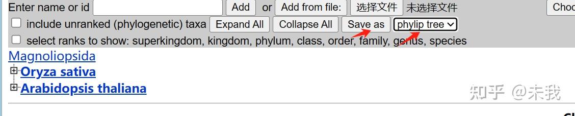 物种树构建 - 知乎