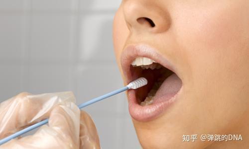 口腔拭子采样