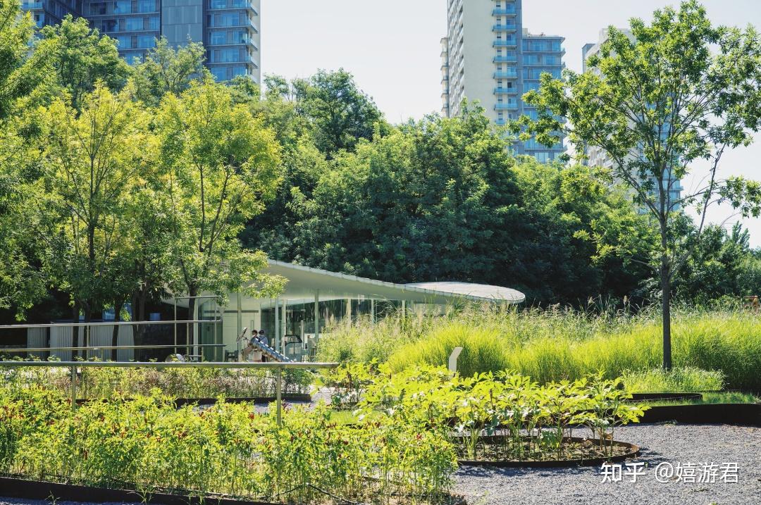 阿那亚,怎么住?-阿那亚住哪