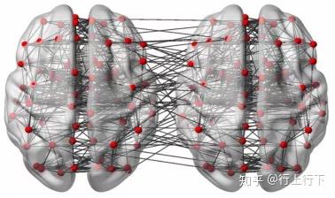 BrainNet Viewer:人类大脑连接的网络可视化工具 - 知乎
