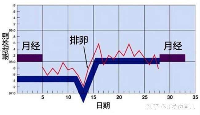 初产妇大多第几周入盆提前发动几率高吗育婴师用经验解答