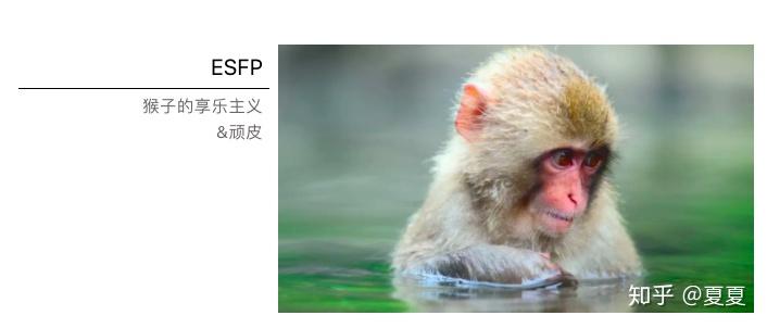 ESFP:猴子的享乐主义与顽皮 - 知乎