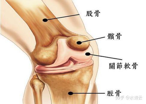 膝关节髌骨脱位要注意什么 膝盖脱臼后如何恢复快 柏然网