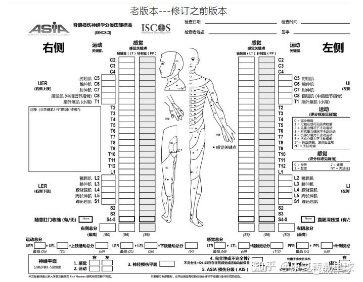 （新）ISNCSCI 2019修订版发布 - 知乎