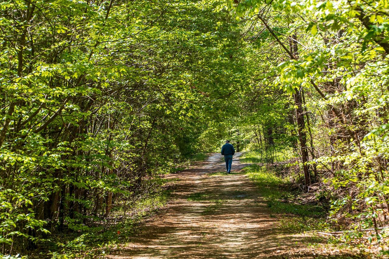 3. 鹅掌秋社区配套