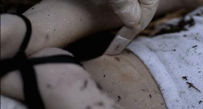 寄生虫拿了奥斯卡最佳影片我们做了奉俊昊电影大盘点