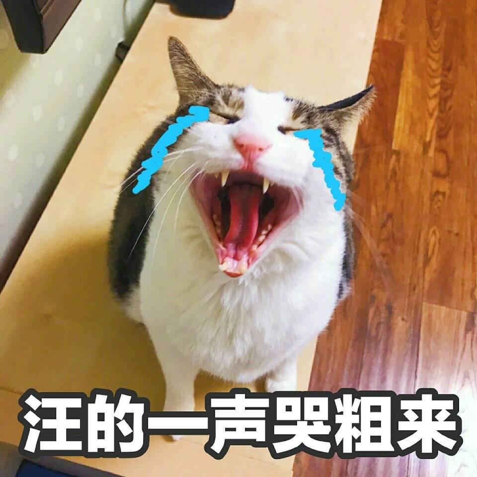 v2-34f1f7d12c26b9ec1c292ea9c4fbd611_r.jpg