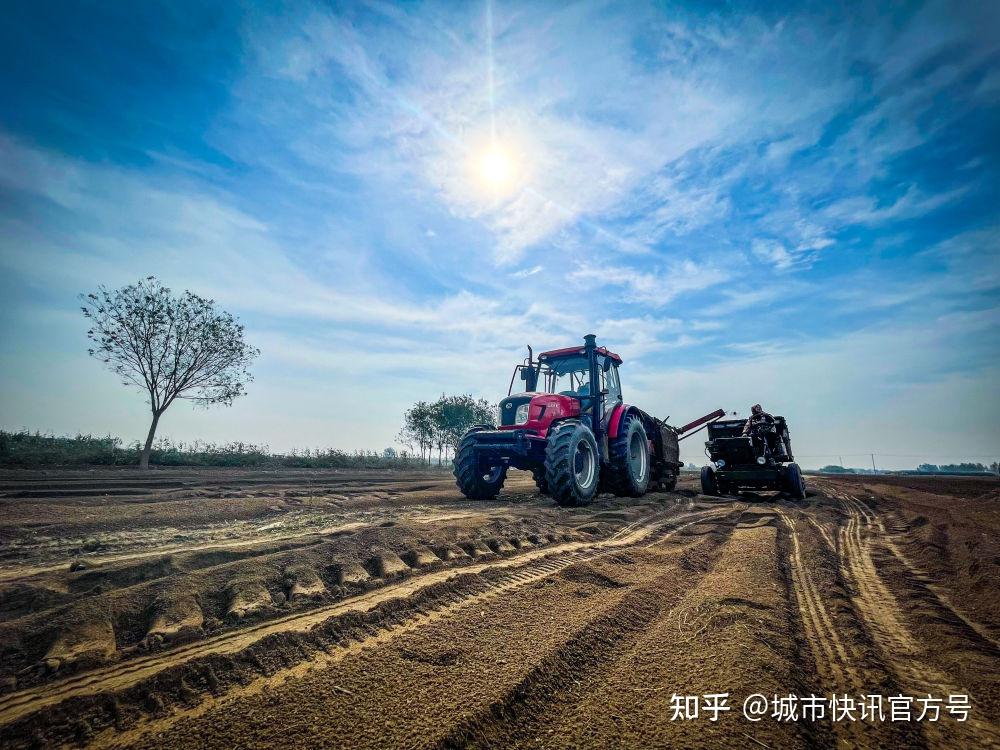 新华全媒 |河北:机械化采收助力中药材产业降本增效