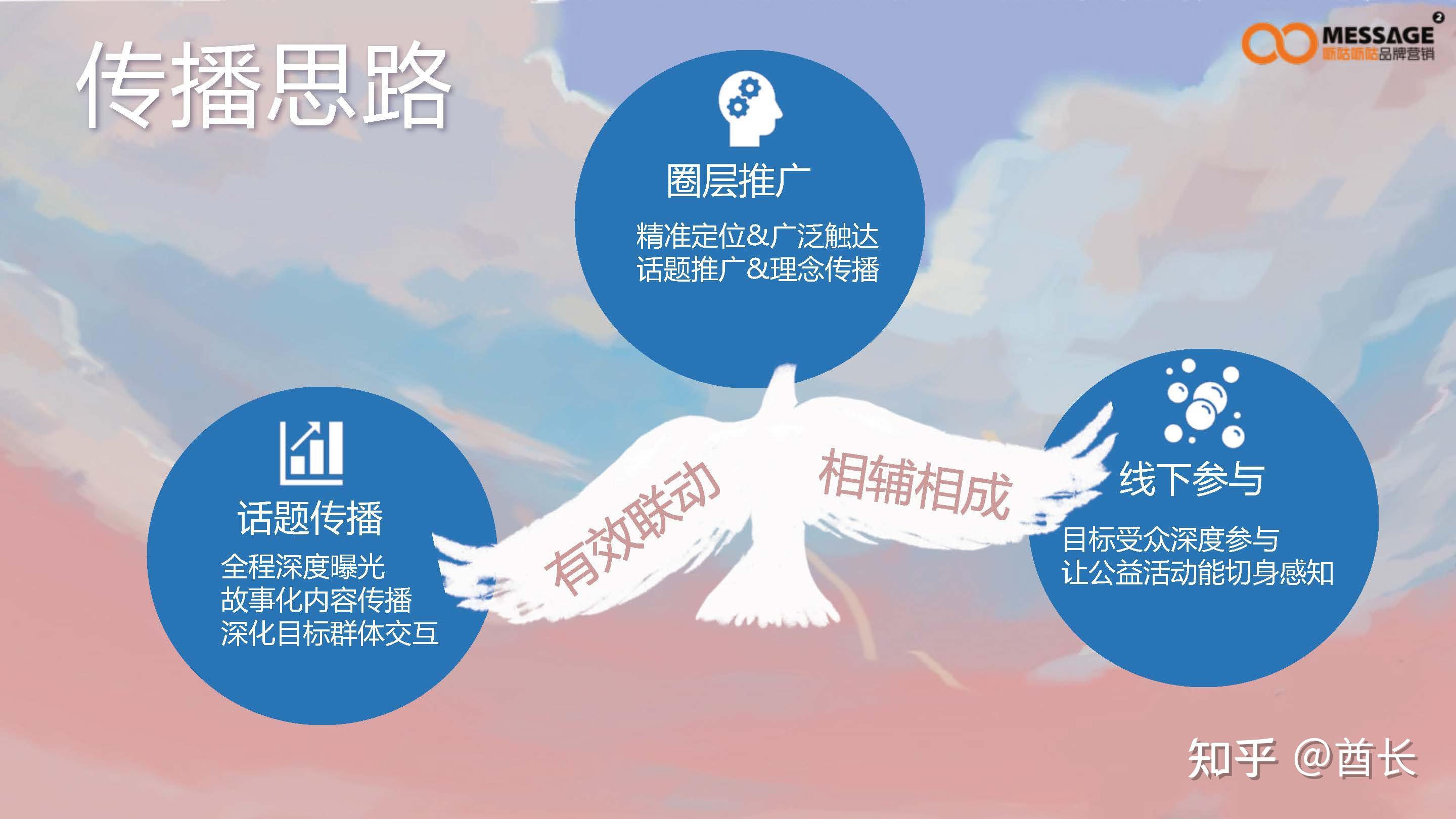 99公益日任鸟飞项目推广传播项目简版