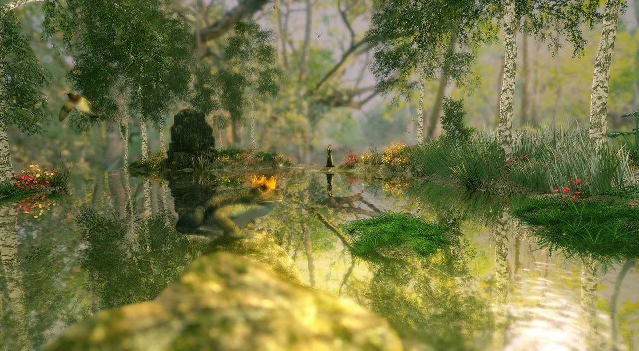 穿越森林的冒险之旅