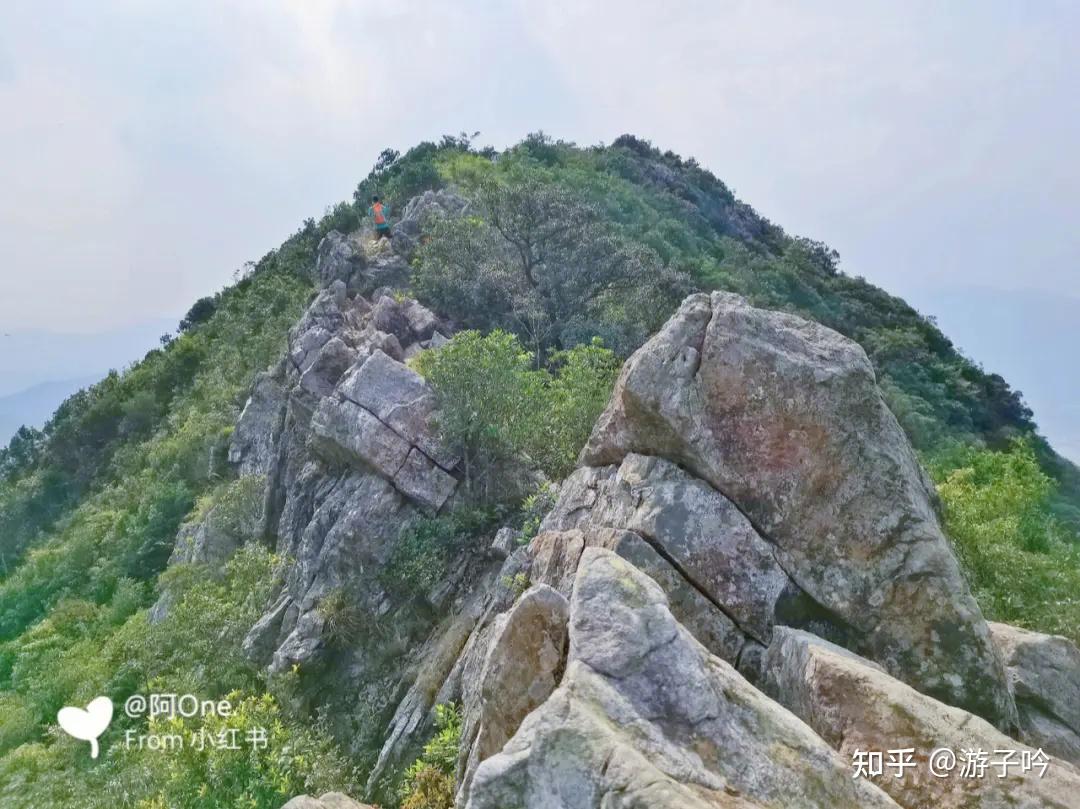 深圳市大鹏新区十大著名旅游景点6、深圳排牙山 知乎